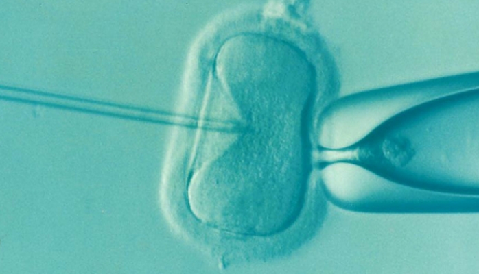 Accès pour toutes à la procréation médicalement assistée : point d’étape sur cette avancée sociétale majeure à l’occasion des deux ans de la promulgation de la loi de bioéthique